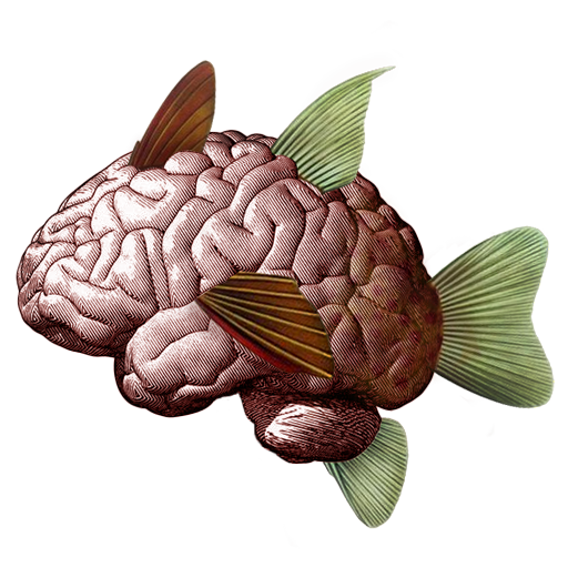 Curiosidad y perseverancia